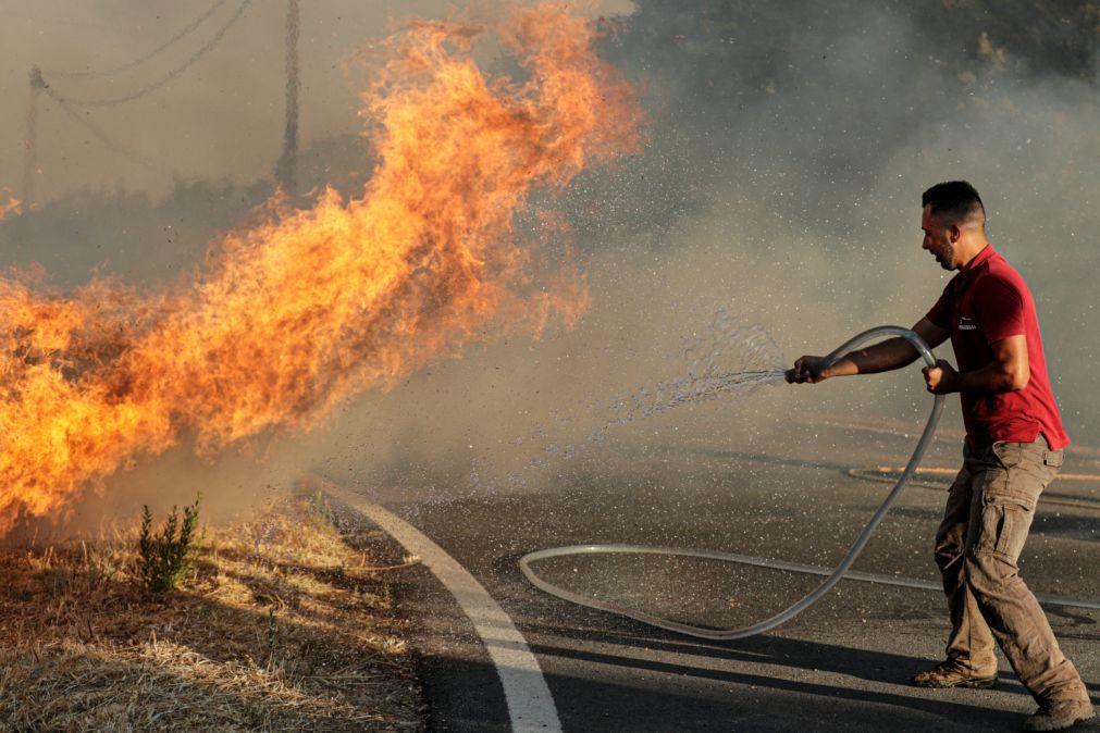 Agricultores afetados pelo incêndio já podem reportar ...