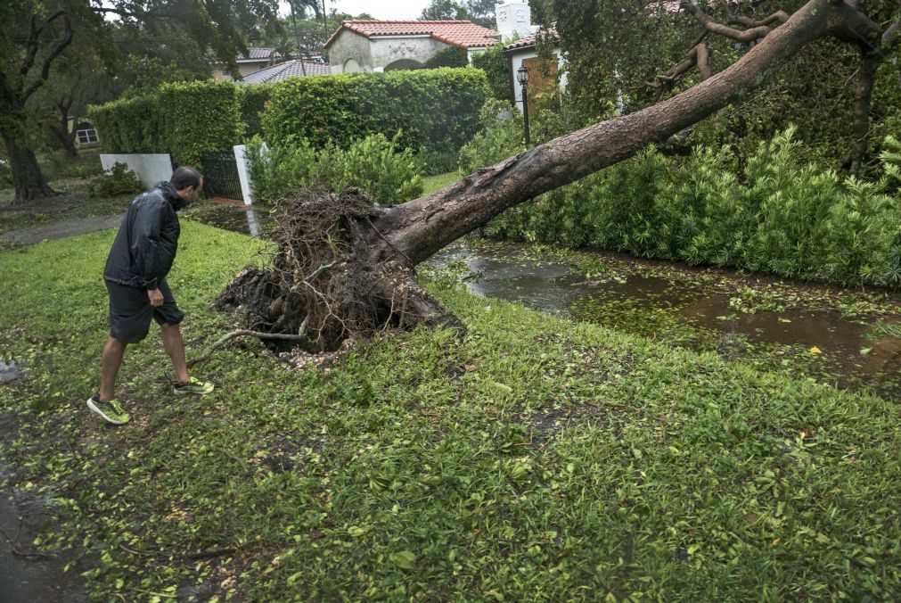 Furacão Irma: Autoridades baixam classificação para 'tempestade tropical'