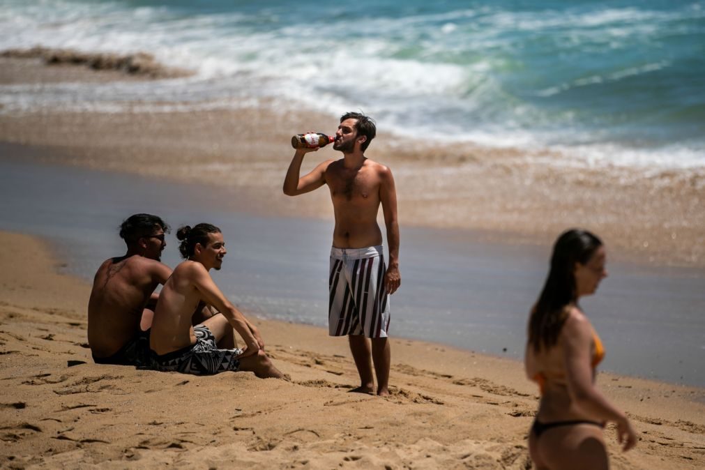 Beber cerveja faz bem aos intestinos e não engorda