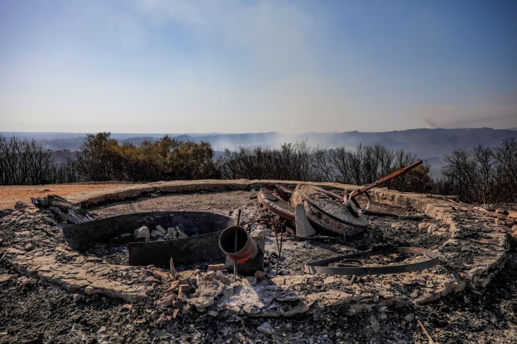 Detido suspeito de dois crimes de incêndio florestal em Ourém