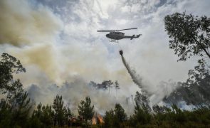 Fogo que deflagrou em Oliveira de Azeméis já consumiu mais de 2.500 hectares