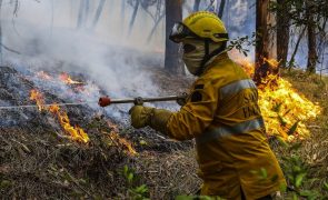 Mais de 80 concelhos de 10 distritos em perigo máximo de incêndio rural