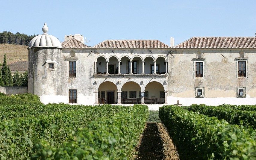 Quinta da Bacalhôa Vá vindimar e prove o melhor de Portugal e do Brasil