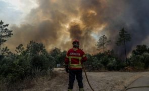 Incêndios: Fogo de grandes dimensões atinge várias freguesias no concelho de Pombal