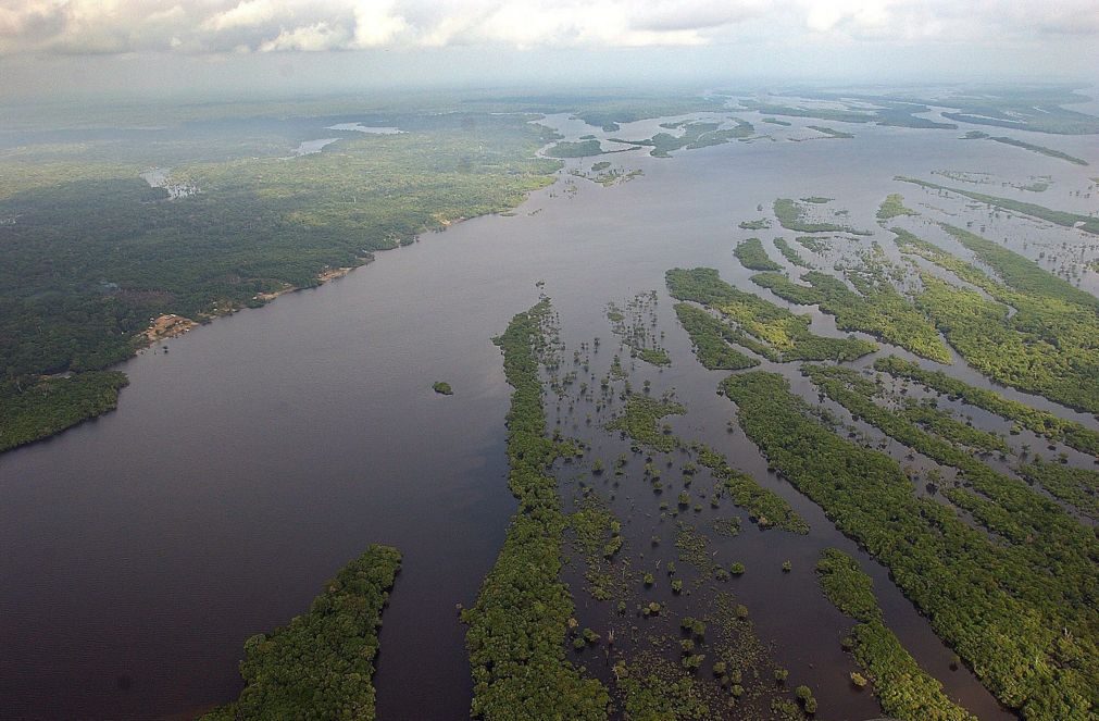 Governo brasileiro revoga decreto que permitia exploração de grande reserva na Amazónia