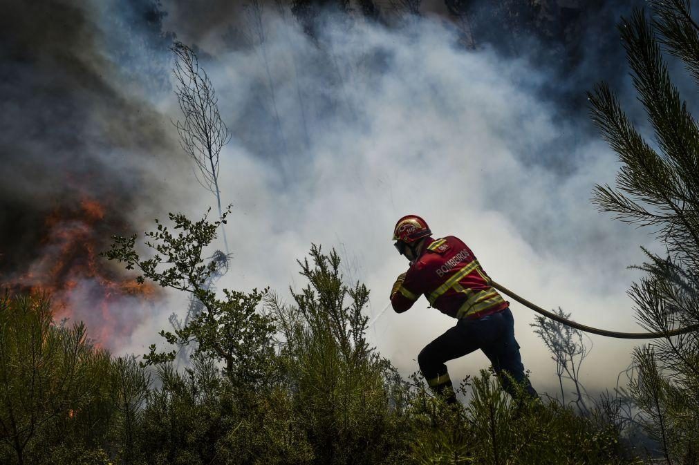 Mais de 250 bombeiros e seis meios aéreos combatem incêndio na Covilhã