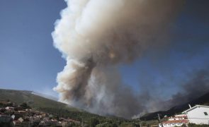 Seguradoras estimam pagar indemnizações de 8 milhões de euros relativas aos incêndios