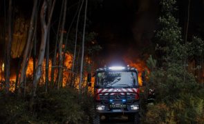 Governo aprova despesa para compra de 81 viaturas de combate a incêndios