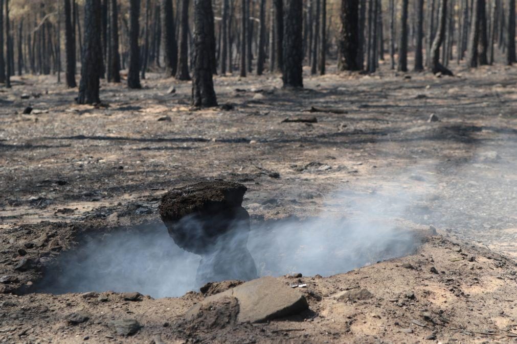 Maior incêndio do ano em Espanha controlado após 28 dias e 31.500 hectares ardidos