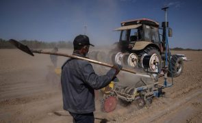 Sistema de trabalho na região chinesa de Xinjiang pode 