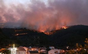 Incêndios: Governo vai reunir-se com autarcas de concelhos mais afetados por fogo na serra da Estrela