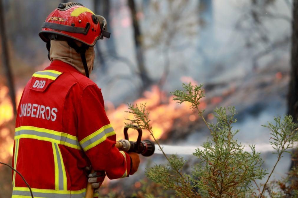 Proteção Civil autorizada a avançar com contratação de 500 bombeiros
