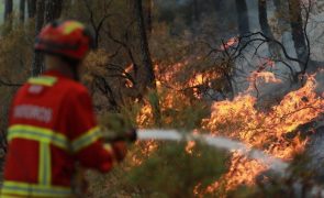 Autarca de Vila Real preocupado com fogo e proximidade a aldeias