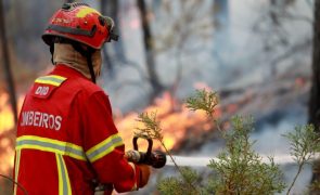 Reativação de incêndio em Vila Real ocorreu perto de aldeias e em zona de pinhal