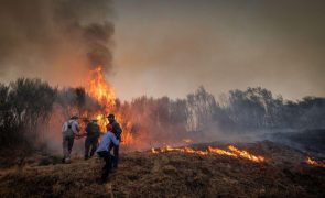 Três incêndios no distrito de Vila Real mobilizam mais de 600 bombeiros às 22:30