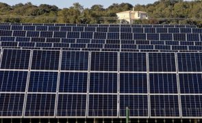 São Tomé e Príncipe inaugura primeira central de energia fotovoltaica