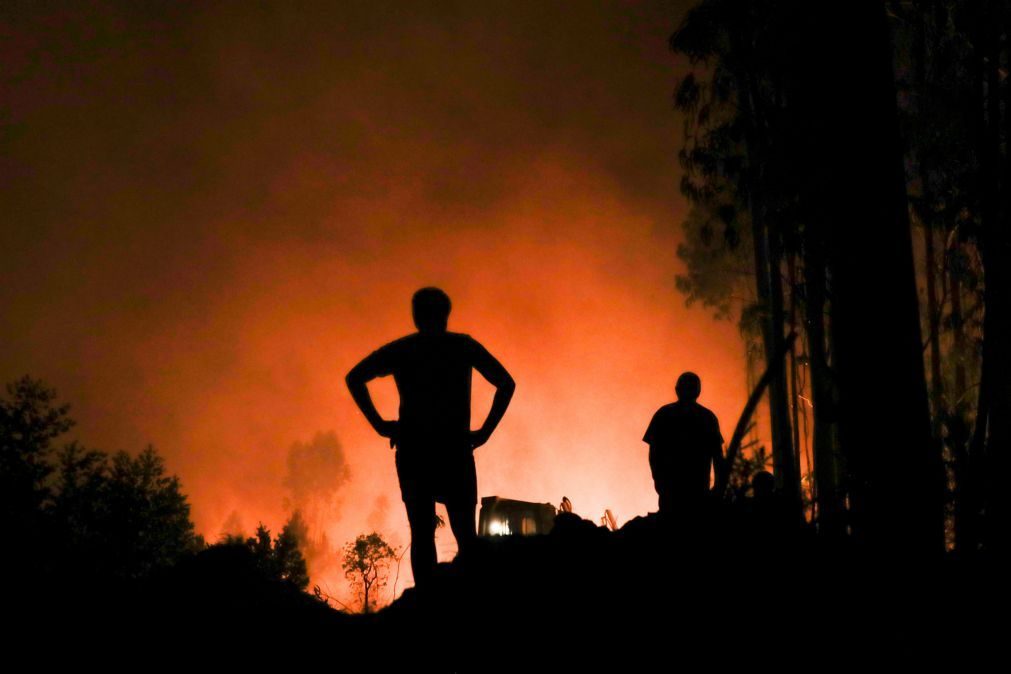 Agricultores afetados por grandes incêndios podem candidatar-se a apoios até 30 ME