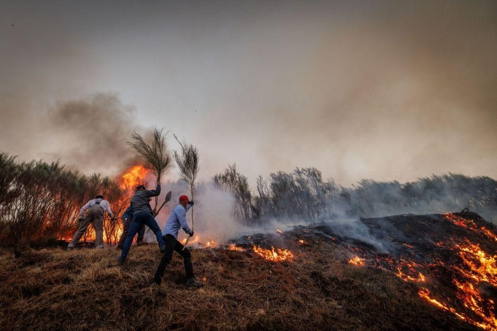 Cerca de 50 concelhos em risco muito elevado de incêndio
