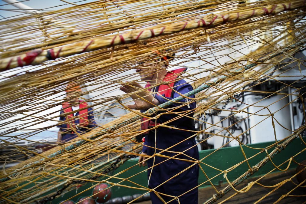 Bruxelas notifica Portugal por pesca ilegal em zonas NAFO