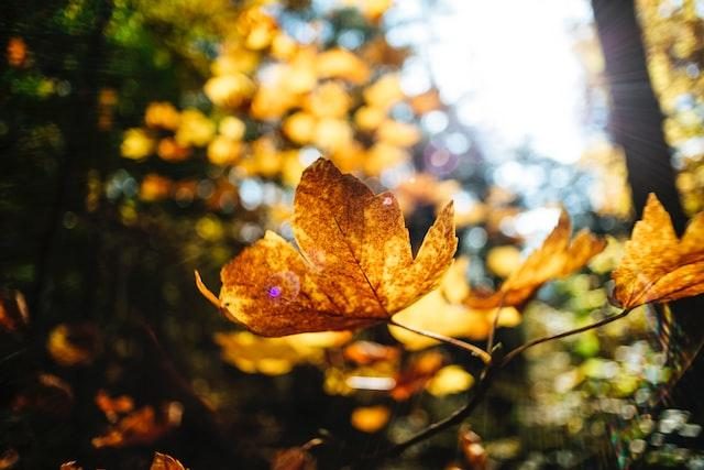 Meteorologia: Previsão do tempo para sábado, 5 de novembro