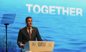 COP27: Trinta países somam-se à aliança contra a seca lançada por Espanha e Senegal