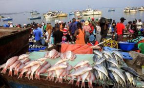 Angola assina tratado da ONU sobre pesca legal e sustentável
