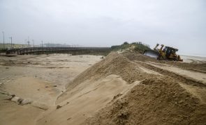 Câmara da Figueira da Foz ergue barreira de areia para proteger praia do Cabedelo
