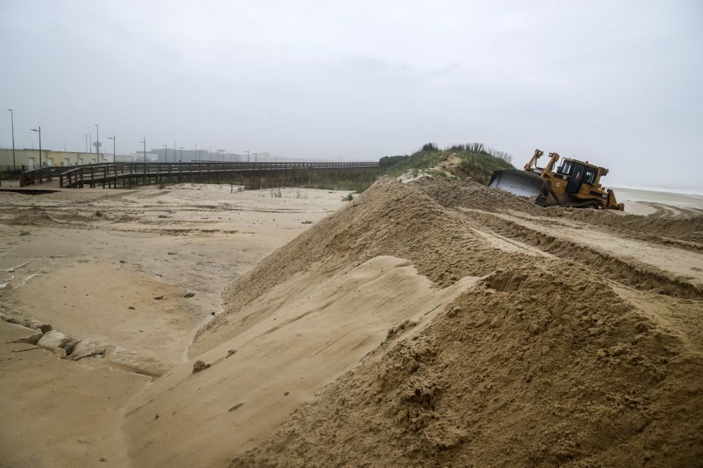 Câmara da Figueira da Foz ergue barreira de areia para proteger praia do Cabedelo