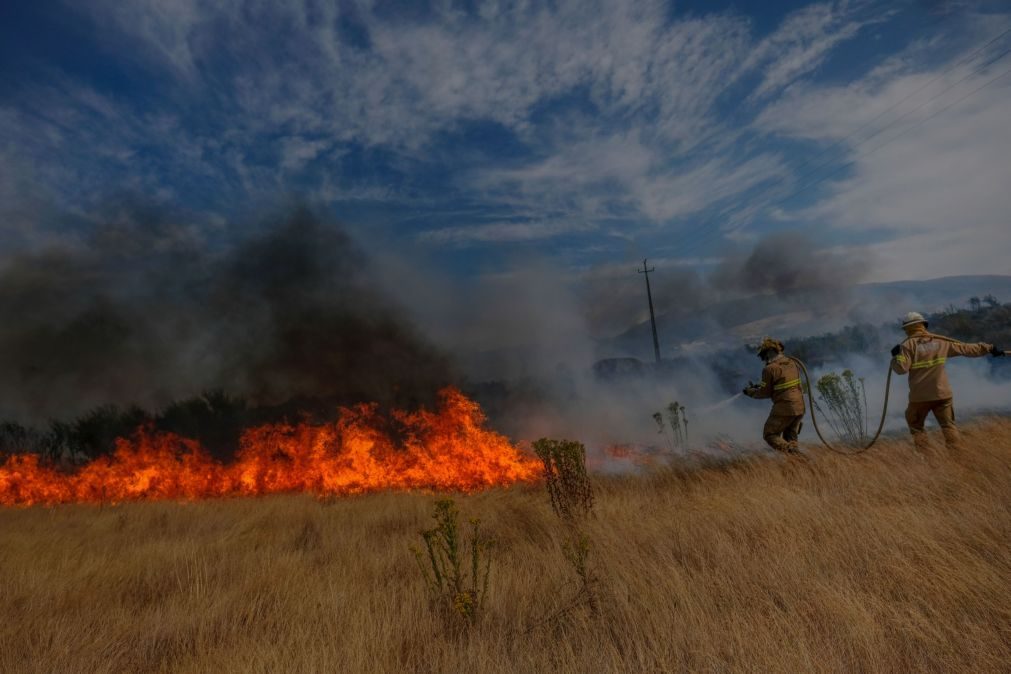 Quase 150 operacionais e um meio aéreo combatem um incêndio em Seia