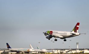 TAP alarga oferta de voos para EUA, Brasil e Venezuela no verão
