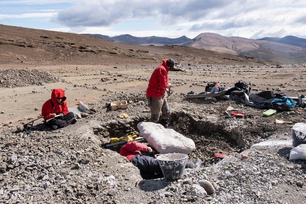 Descobertos quatro tipo de dinossauros incluindo um Megaraptor no Chile