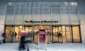 Artista português Alexandre Estrela expõe no MoMA em Nova Iorque