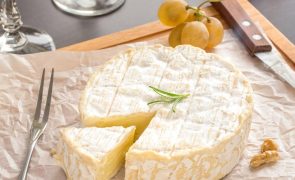 Delicioso e saudável: descubra os benefícios do queijo para a saúde