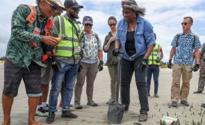 Embaixadora norte-americana planta mangal e apanha lixo em Maputo