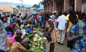 UE e FAO financiam com 1ME recenseamento da agricultura de São Tomé e Príncipe