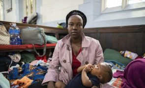 ACNUR pede mais de 600 milhões de dólares para assistir refugiados da RDCongo