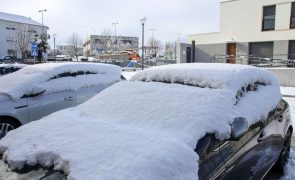 Neve obrigou a encerrar escolas e condicionou ligações viárias em Mogadouro