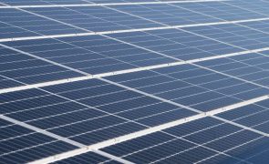 Cabo Verde quer parques solares em quatro ilhas dentro de dois anos
