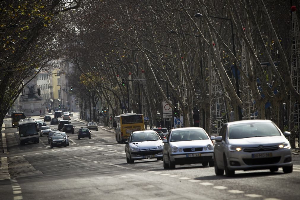 ALERTA | Queda de árvore danifica carros em Lisboa