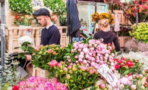 Muitas cores e flores no mercado de rua em Londres