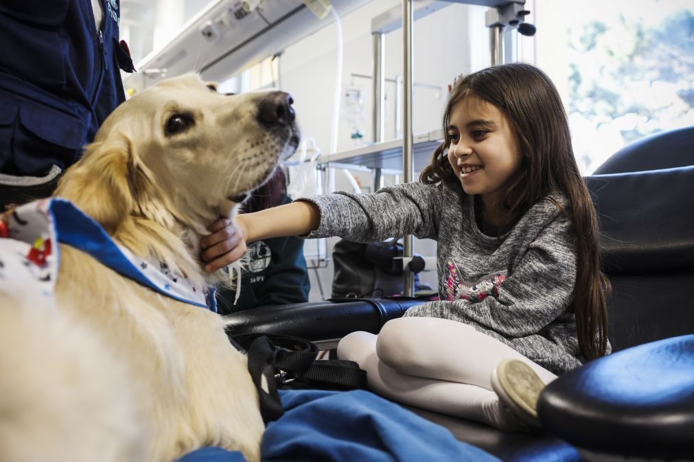 Projeto de cães de assistência ajuda profissionais de saúde do hospital S. João