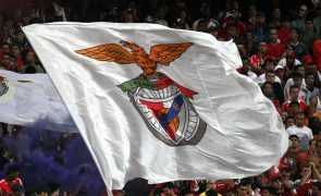 Pemba vai acolher escola de formação de futebol do Benfica