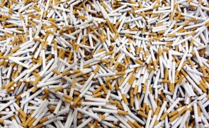 Desmantelamento de rede leva à apreensão de mais de dois milhões de cigarros