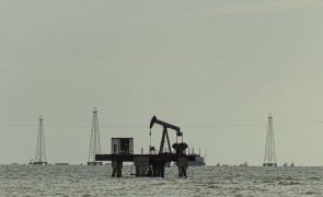 Oferta de petróleo ultrapassará de longe a procura pelo menos no 1.º semestre - AIE