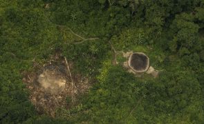 Incêndios na reserva brasileira Yanomami caíram 62% com a expulsão dos mineiros