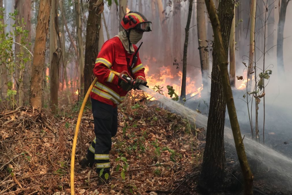 18 concelhos do interior centro e Algarve em perigo muito elevado de incêndio