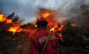 Incêndios em Braga mobilizam 98 operacionais e 3 meios aéreos