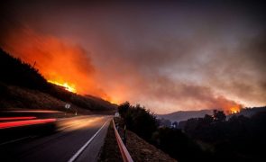 Vinte e dois concelhos de quatro distritos em perigo máximo de incêndio