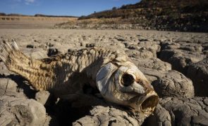 Mudanças climáticas agravaram seca extrema no Corno de África -- relatório
