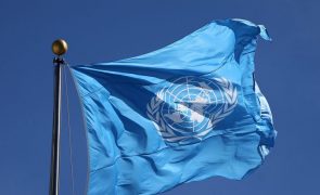 Comité da ONU denuncia discurso de ódio russo contra ucranianos